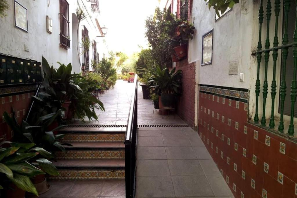 Tipico Y Pintoresco Patio De Vecinos, Con Encanto 塞维利亚 外观 照片