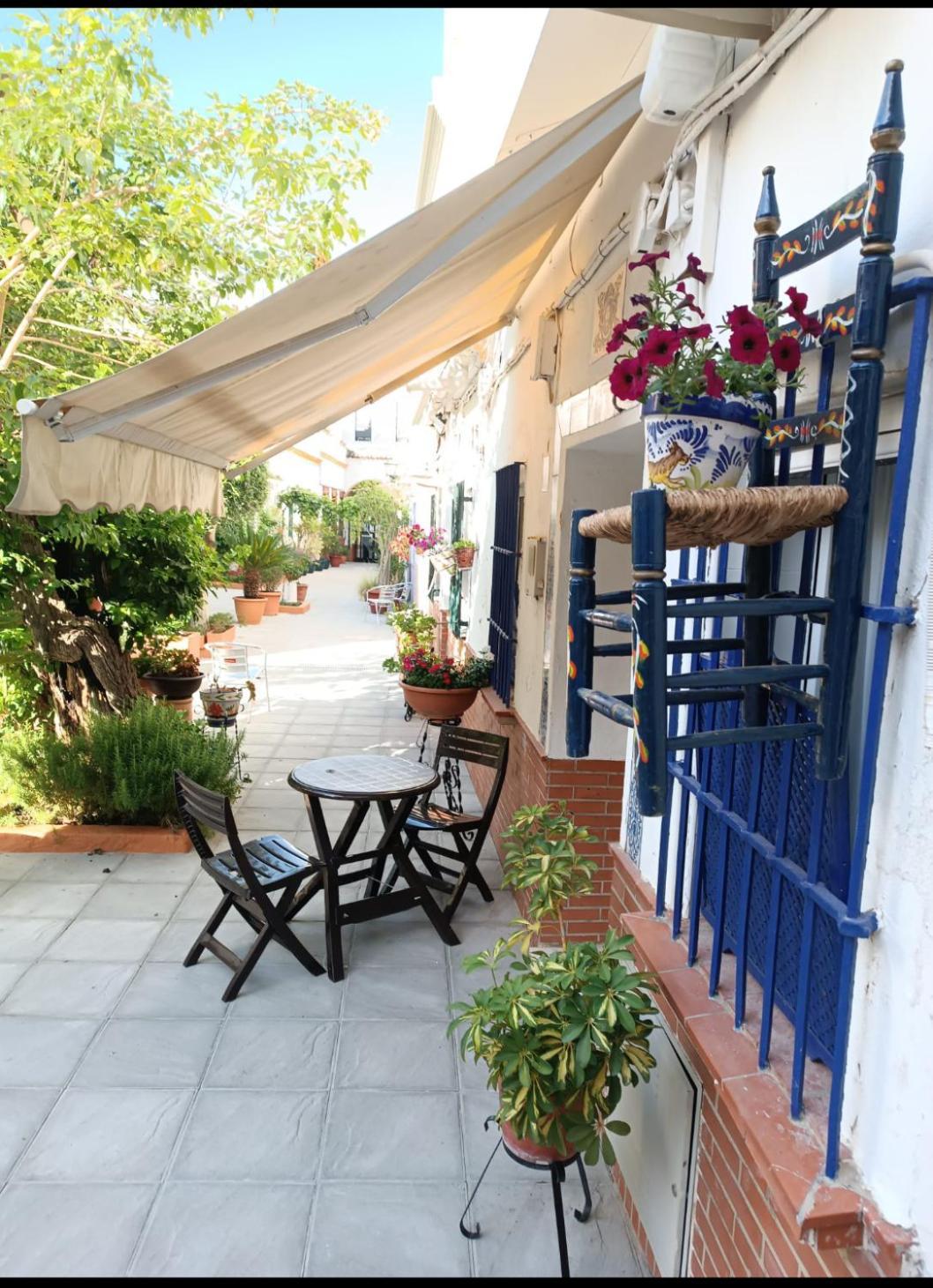 Tipico Y Pintoresco Patio De Vecinos, Con Encanto 塞维利亚 外观 照片
